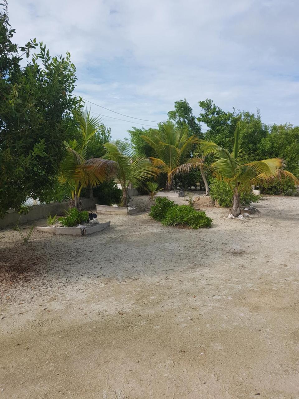 Trellis House Appartement Caye Caulker Buitenkant foto